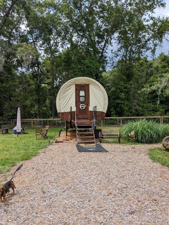 Rooterville Animal Sanctuary Melrose Εξωτερικό φωτογραφία