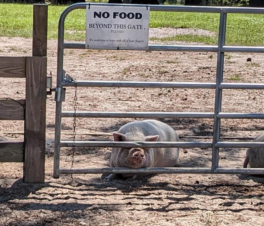 Rooterville Animal Sanctuary Melrose Εξωτερικό φωτογραφία